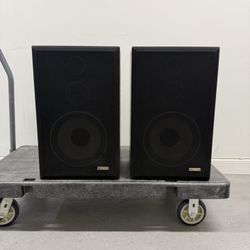 FISHER DS-152 PAIR Speakers 24x15x10” VINTAGE. MADE IN USA (Good condition) PICK UP IN CORNELIUS