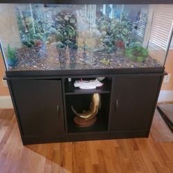 75 Gal Tank & Stand