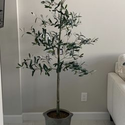 Faux Olive Tree