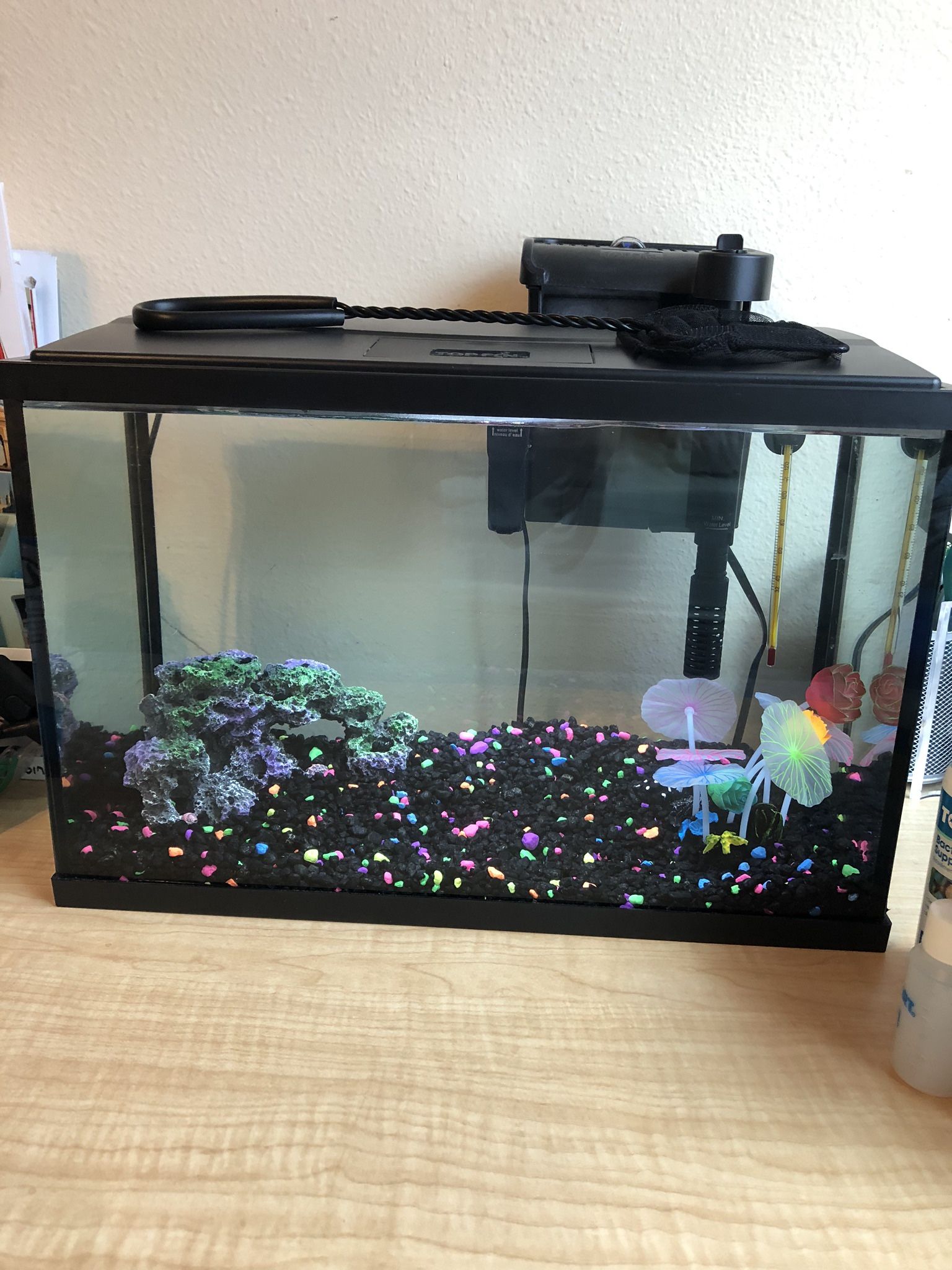 Top Fin 5 Gallon Fish Tank