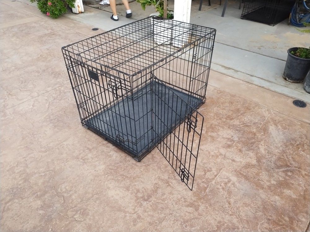 Dog Kennel 