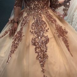 Quincenera / Sweet 16 Rose Hold Dress new With Tags Never Used