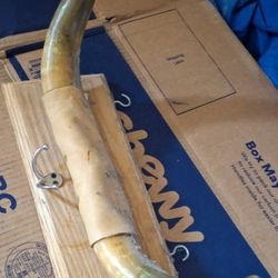 Real Bull Horns Mounted