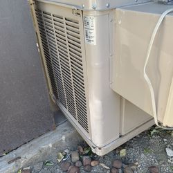 culer de agua en perfectas con dispones caladito