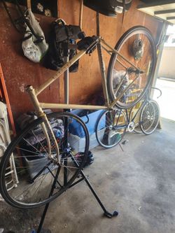 Schwinn madison 54