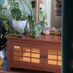 Cabinet - 49”L x 24”H x 20”W
