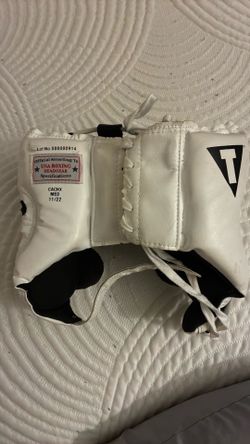 Title boxing official