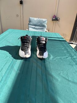 Jordan 12 “Playoffs”