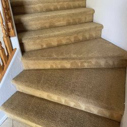 Carpet Restoration