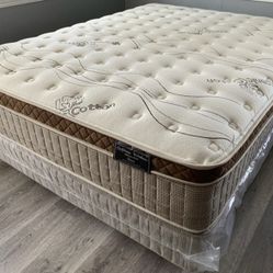 Ck Organic Cloud Edition Europillow Top 12inch Matres!!