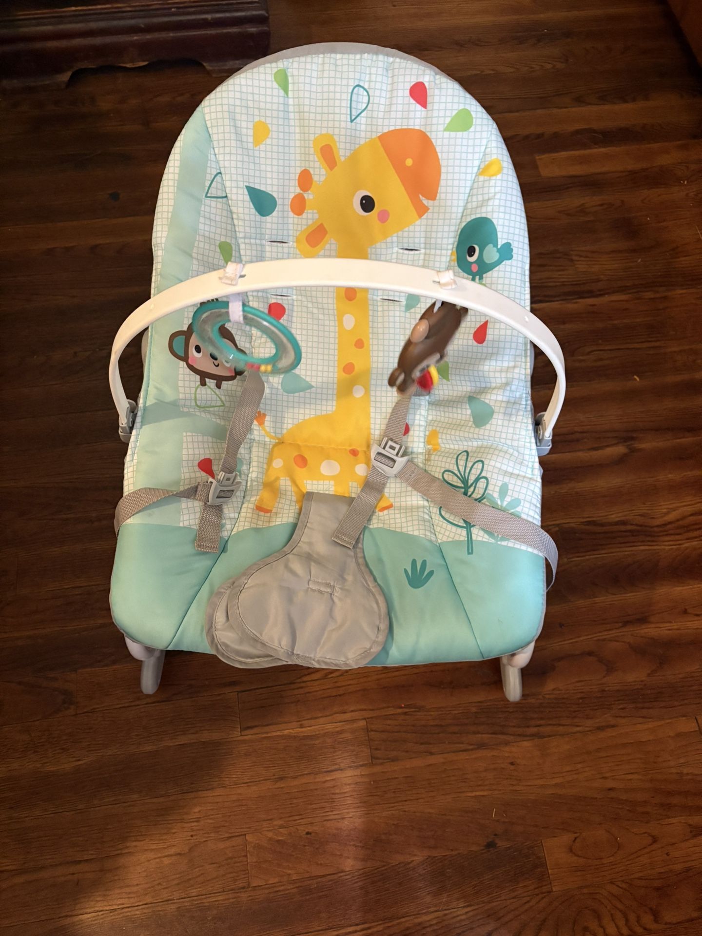 Baby Bouncer