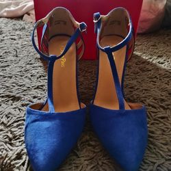 Blue T-strap Pointed Toe Pumps Size 10 