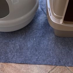Cat Pad