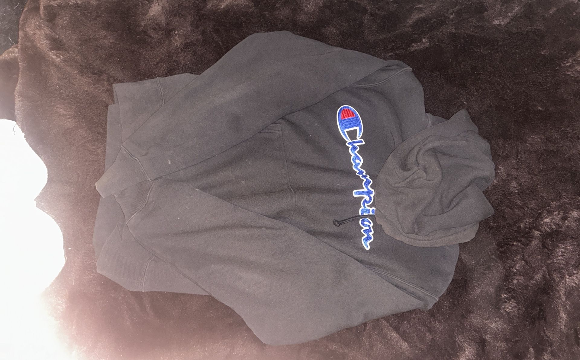 Champion Hoodie