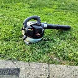 Craftsman Leaf Blower.20ph.