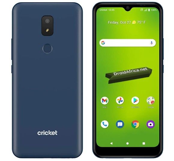 Cricket Icon 3