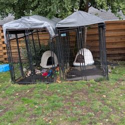 2 Dog Kennels