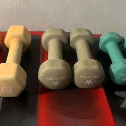 40 lbs dumbbells neoprene
