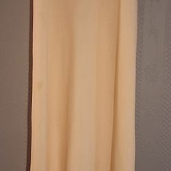 Elegant Pale Yellow Dress