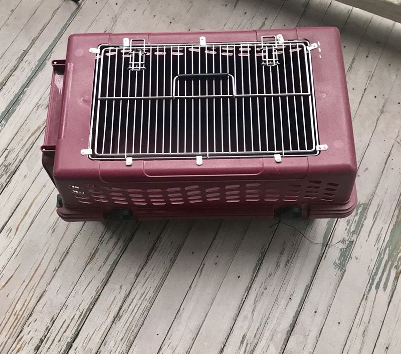 Petmate double door deluxe cat carrier sales