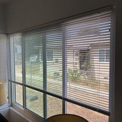Window Blinds