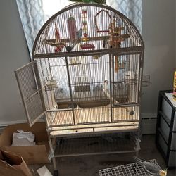 Birds And Cages 