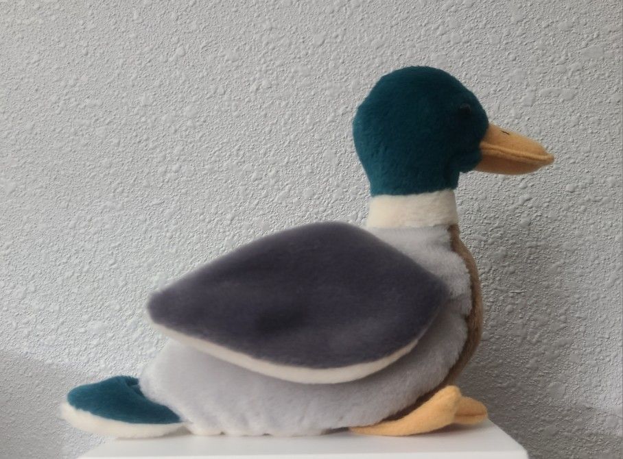 Ty Beanie Baby- Jake The Mallard Duck 