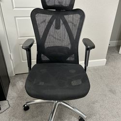 Ergonomics Office Chair