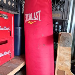 Everlast Punching Bag And Gloves