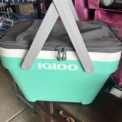 Igloo Picnic Cooler