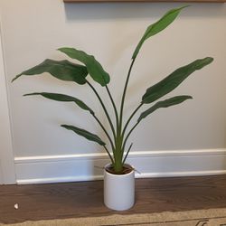 Great Quality Fake Plant