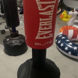 Adjustable Everlast Training Kickboxer