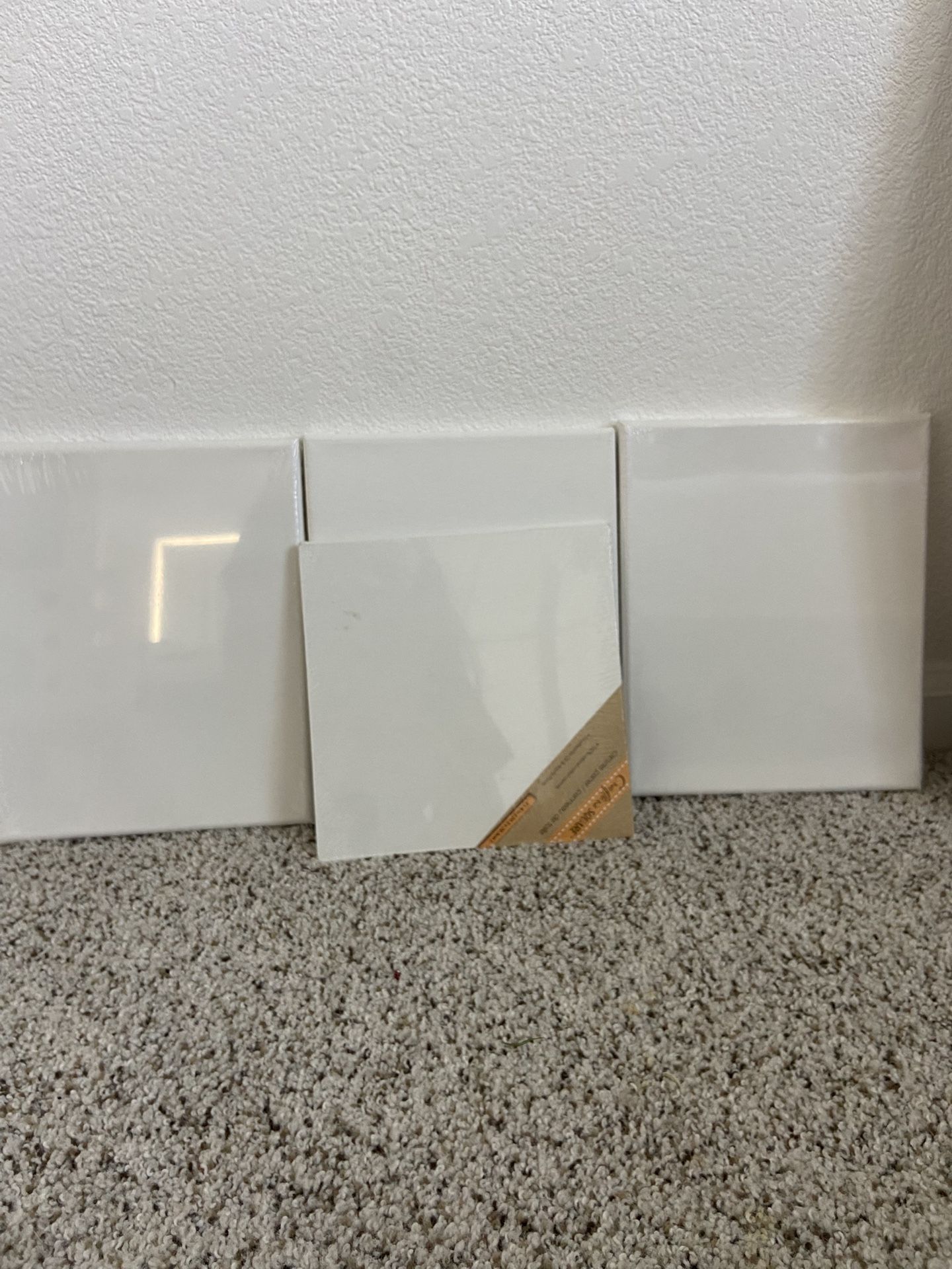 Brand New Canvasas 3+ Thin Small Canvas 