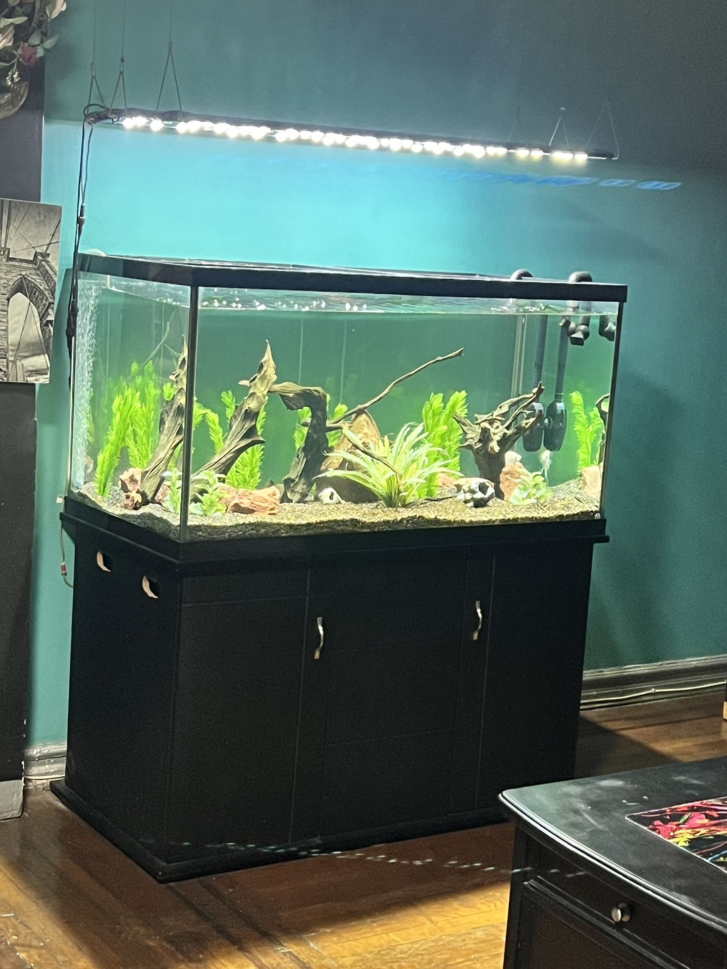 120 Gallon Fish Tank
