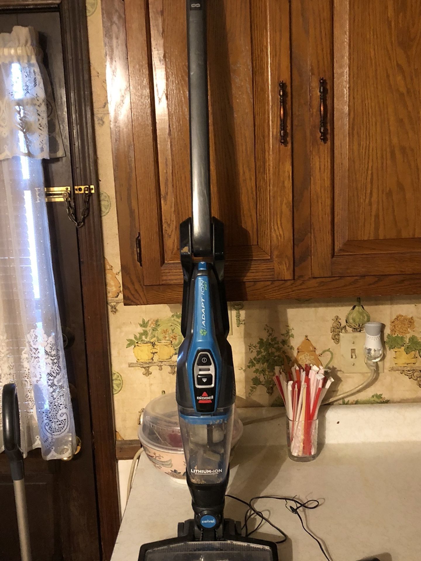 Bissell cordless vac