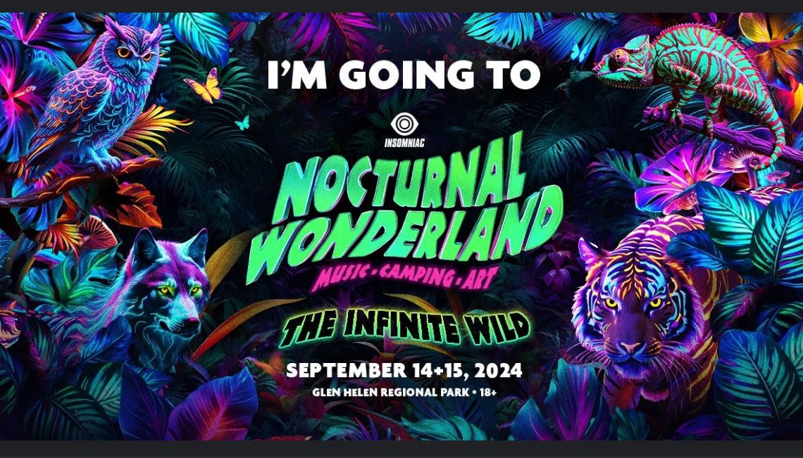 Nocturnal Wonderland Wristband