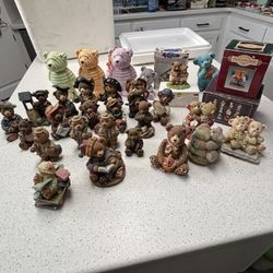 Bear Collection 31+