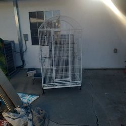 Bird Cage 