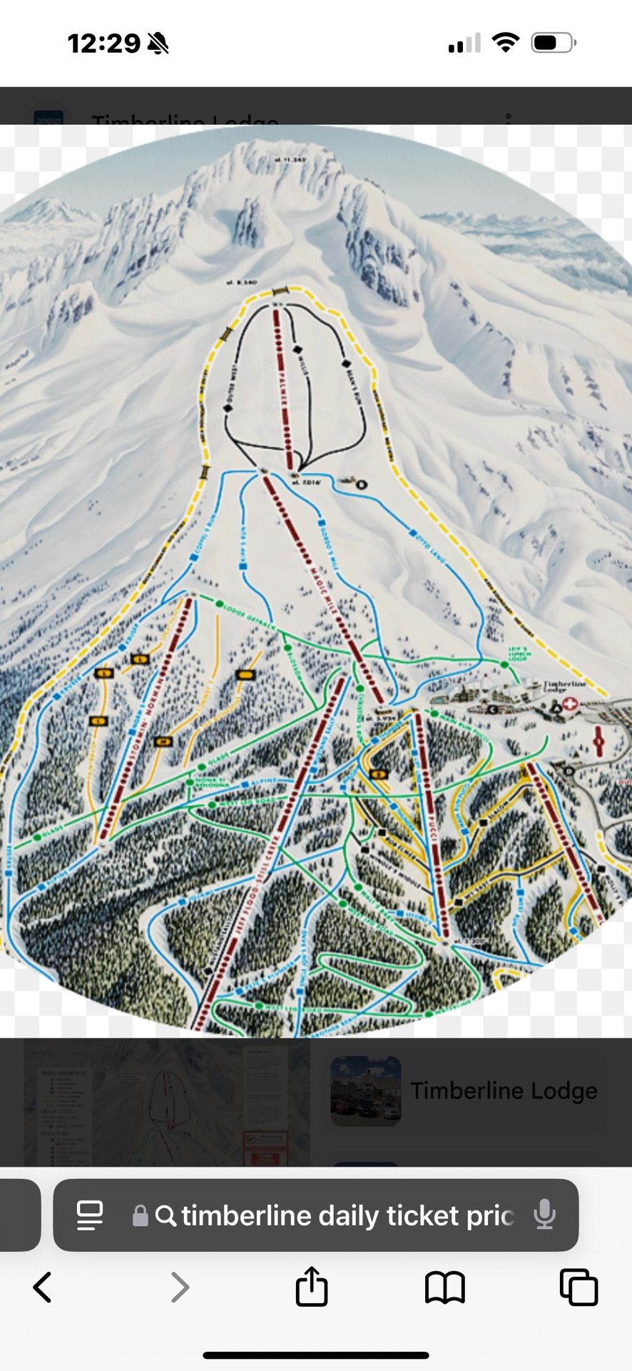 Timberline Day Pass