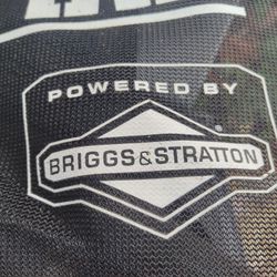 Briggs And Stratton Bag 