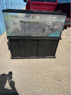 55 gallon aquarium