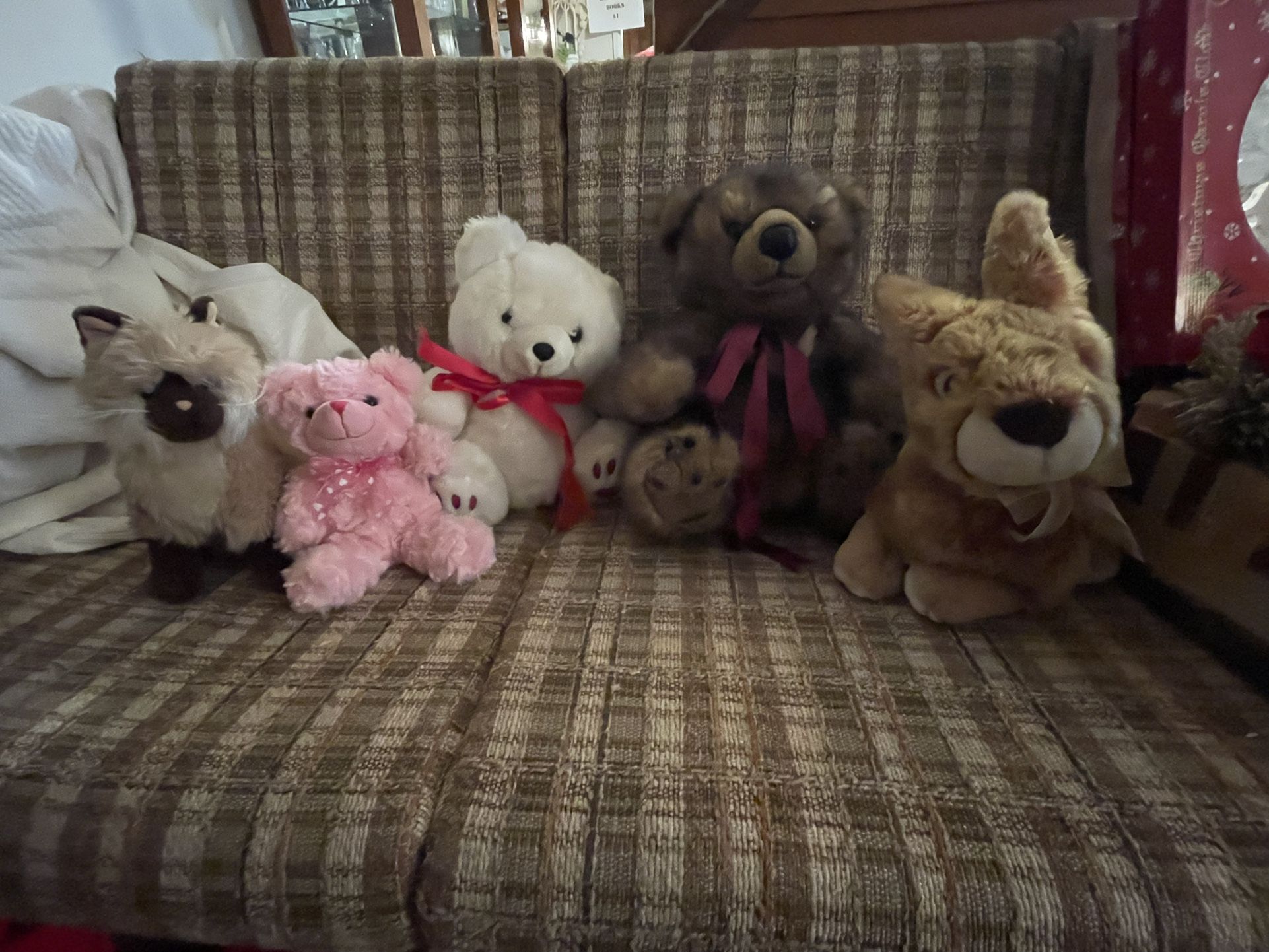 Cute Plush Animals