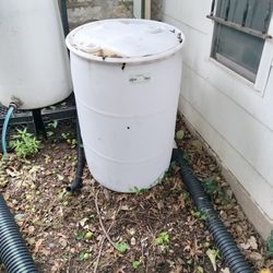 Rain Barrel