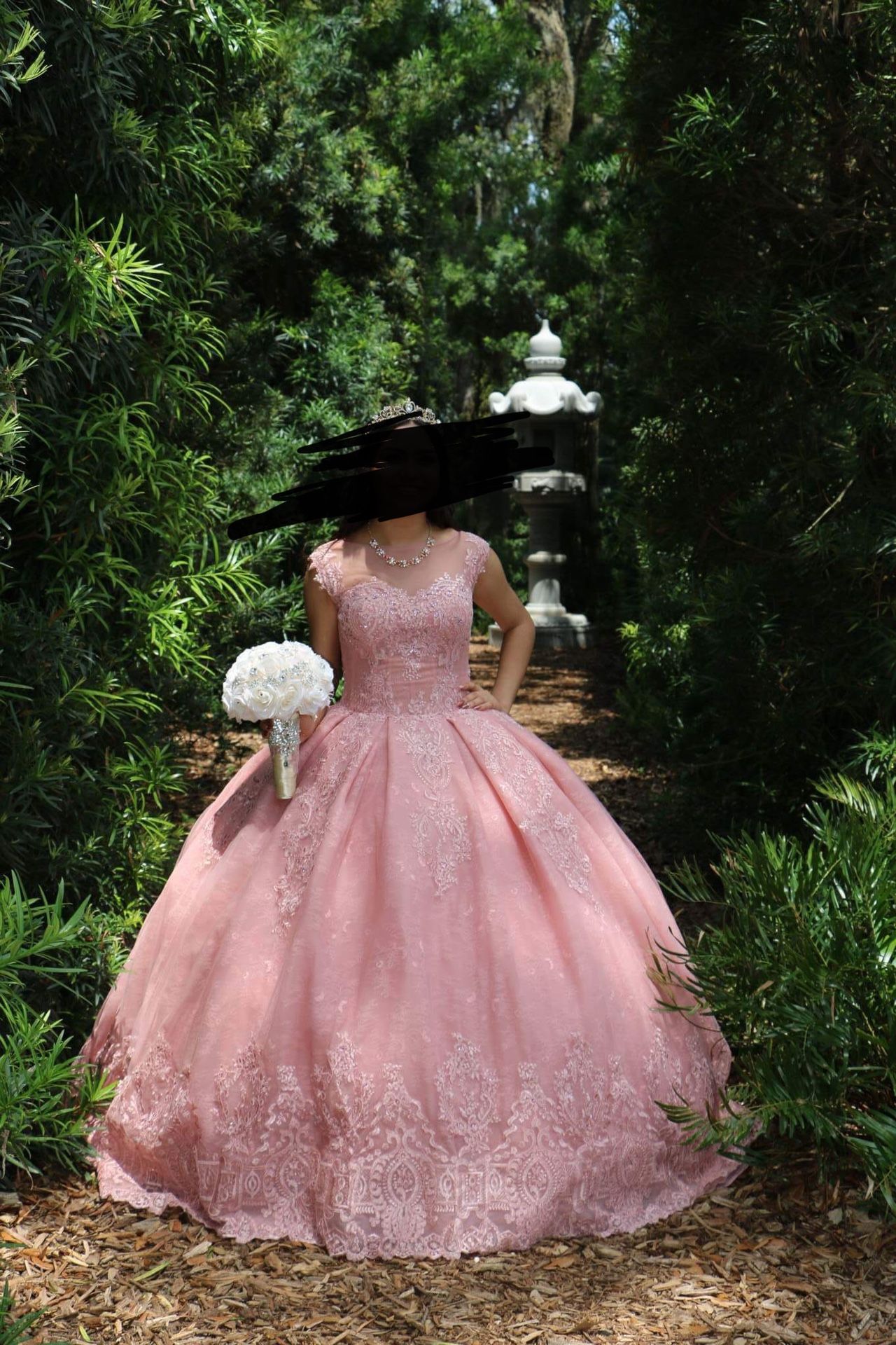 Blush Pink Quinceñera Dress