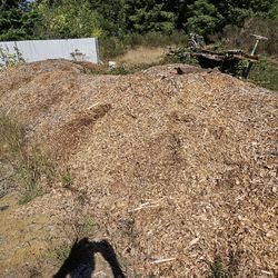Free wood chips