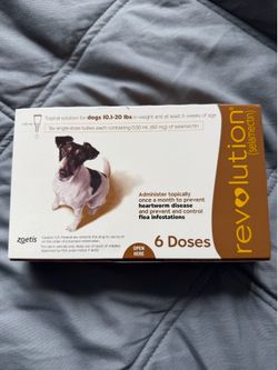 Revolution (Selamectin) for Dogs 10–20 lbs – 6 Pack – New Sealed