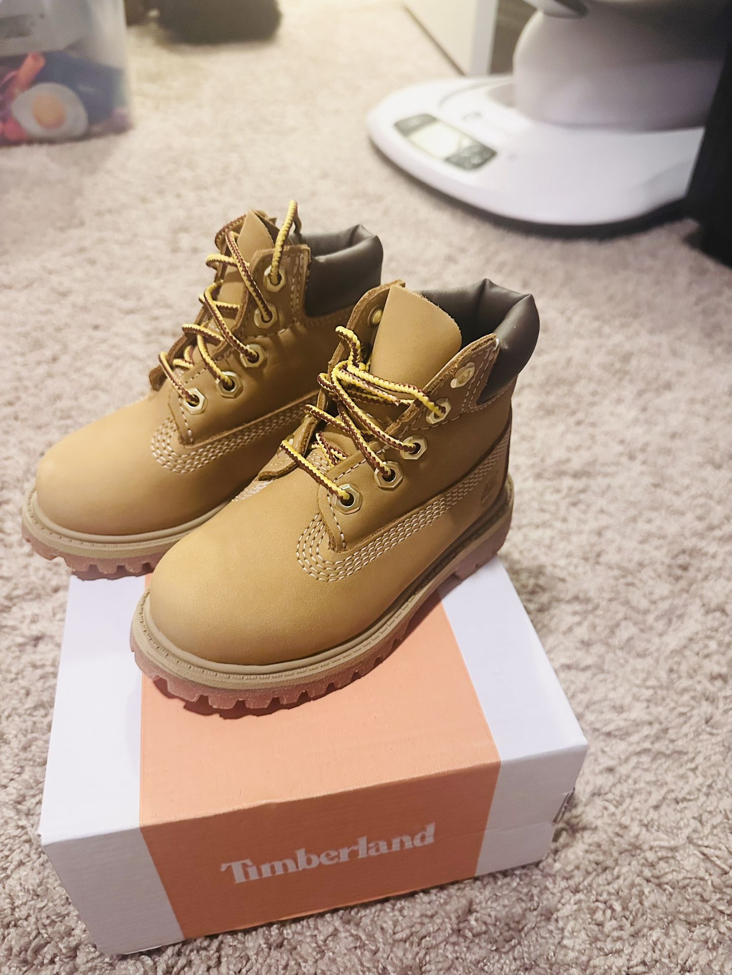 Toddler Timberland Boots 