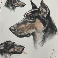 Dog  PRINTS ART DRAWINGS prints ASK I HAVE OTHR BREEDS  11x14”