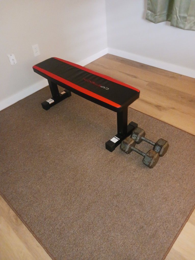 Exercise Flat Bench And 30 Lb Dumbbells 