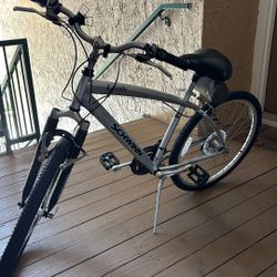 Schwinn 21 Speed 